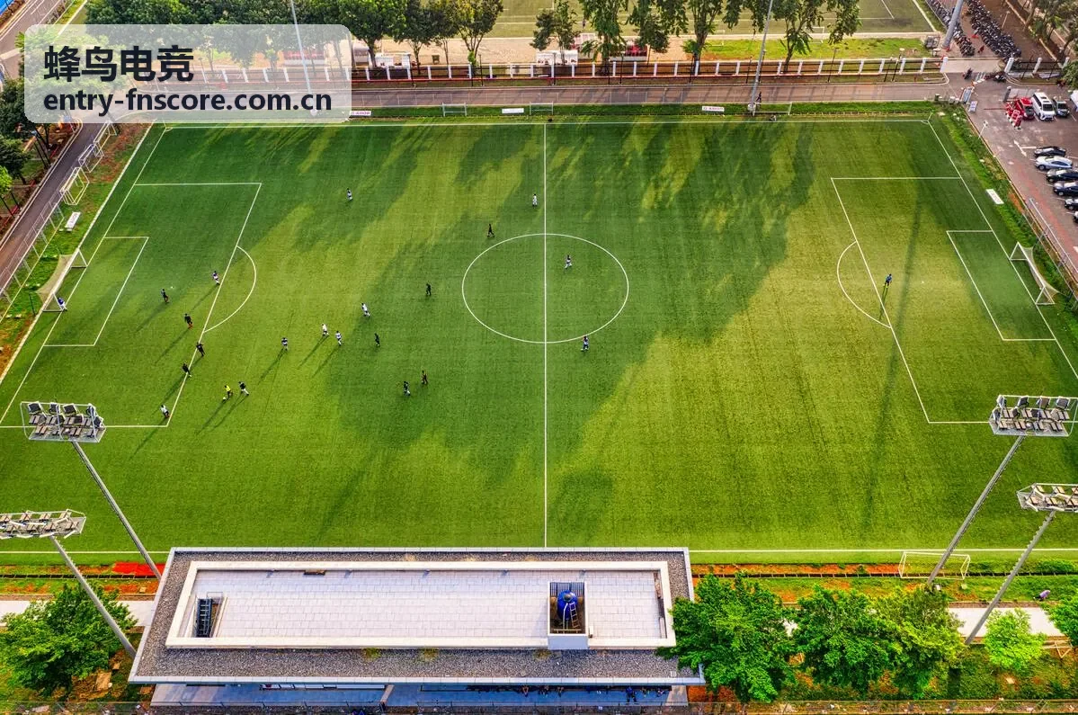 蜂鸟电竞卡牌大师赛决赛回放封面